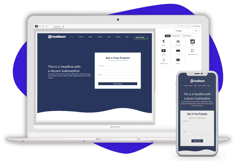 Newsletter-Audience-Landing-Page-Editor