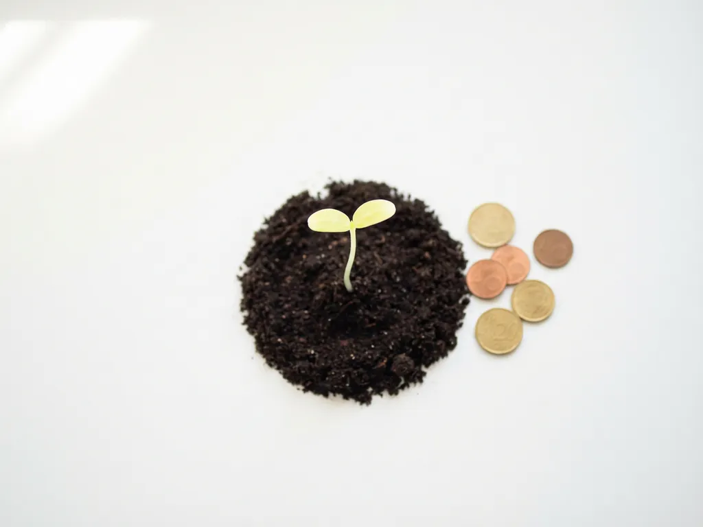 Gloeiende zaailing groeit uit donkere aarde met verspreid kleingeld ernaast, minimalistische compositie in bosgroen en terracotta.